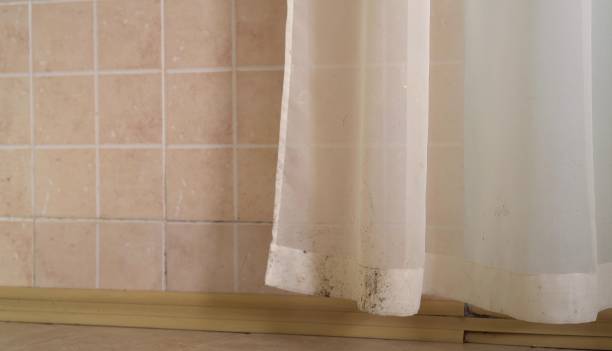 Best Mold Odor Removal Services  in Campbelltown, PA