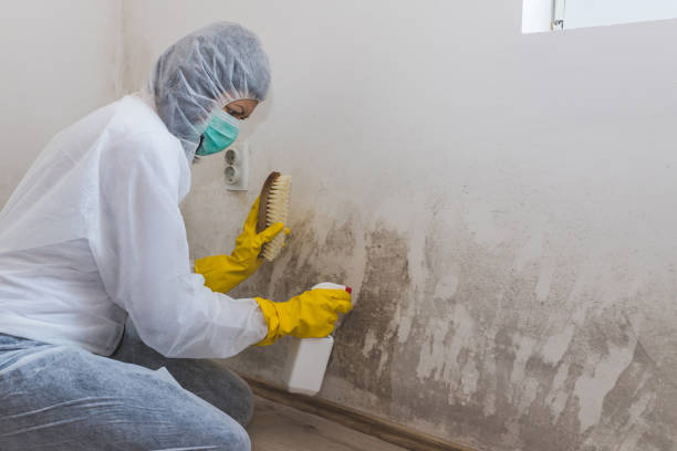 Best Forensic Mold Investigation  in Campbelltown, PA