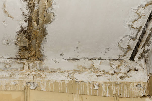 Dehumidification Services in Campbelltown, PA