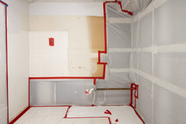 Best Comprehensive Air Testing for Mold Contaminants  in Campbelltown, PA