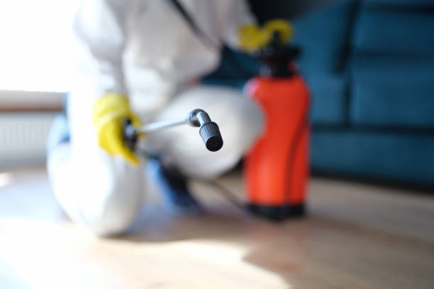 Best Attic Mold Removal  in Campbelltown, PA
