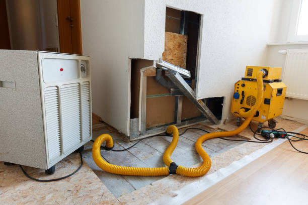 Best Mold Removal for HVAC Installations  in Campbelltown, PA